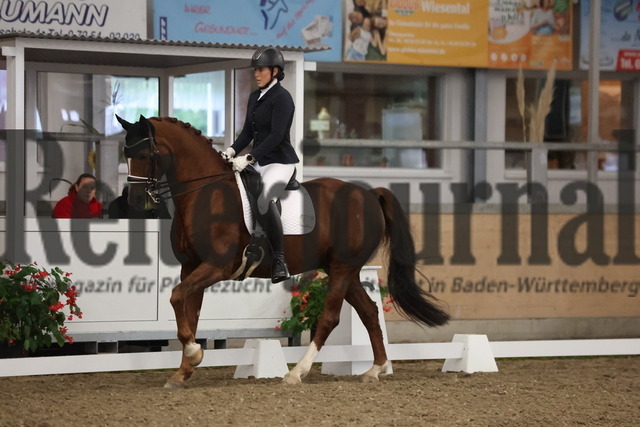 Waghäusel-Wiesental_2024_Prfg.Nr.08_1.WP_U25_Gabriele Roller_Don Moriarty (10) | Alle Fotos der Reiterjournal Fotografin Doris Matthaes im Reiterjournal Online-Fotoshop. - Realisiert mit Pictrs.com