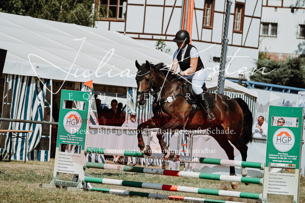 DSC_9860 | Pferde- und Turnierfotografie in Westsachsen. Pferdeportraits, Auftragszeichnungen und intuitive Kunst.
