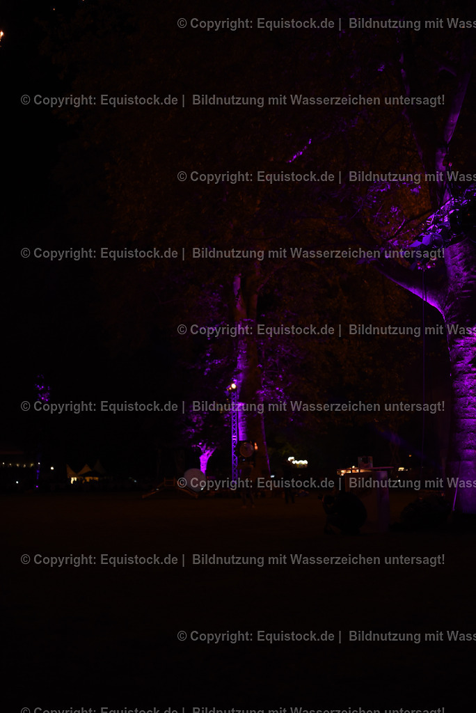 20230526_Pferdenacht_1602 | equistock
