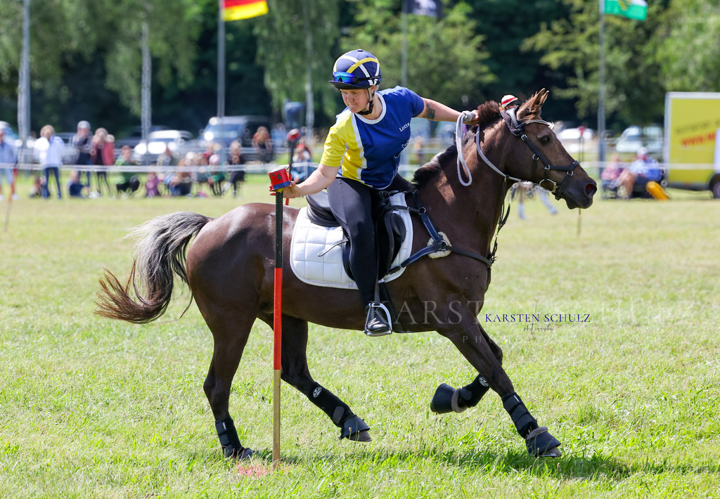 1B3A4204 | Reitsport Reiten