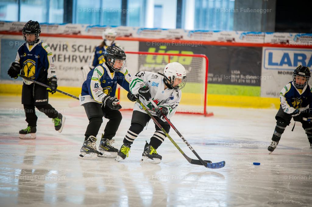 DSC_2089 | "Fussifoto.com – Ihr Ansprechpartner für hochwertige Fotografie! Entdecken Sie kreative Bilder und professionelle Dienstleistungen. Kontaktieren Sie uns für Ihre Projekte!"