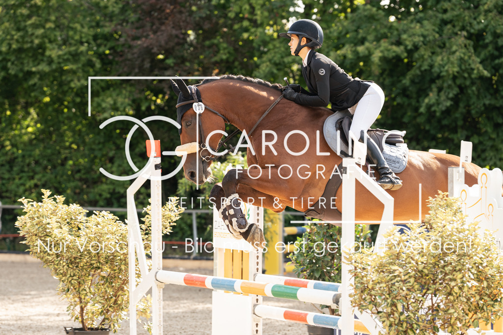 DSC01872 | Turnierfotografin Carolin Gieschke, Turnierfotografie Carolin G Fotografie, Turnierfotos Kirchheim/Teck, Esslingen, Stuttgart, Bodenseekreis