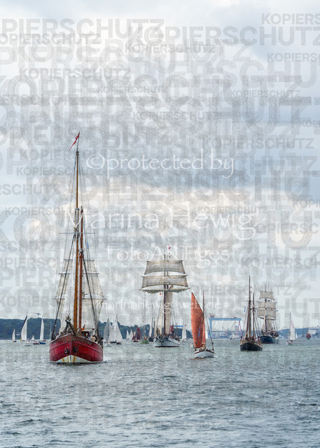 KiWo-4703_MarinaHewig | Fotografie, FotoArt, PferdesportArt, Pferdesportfotografie, Landschaftsfotografie, Reisefotografie, Reise, Pferde - Realisiert mit Pictrs.com