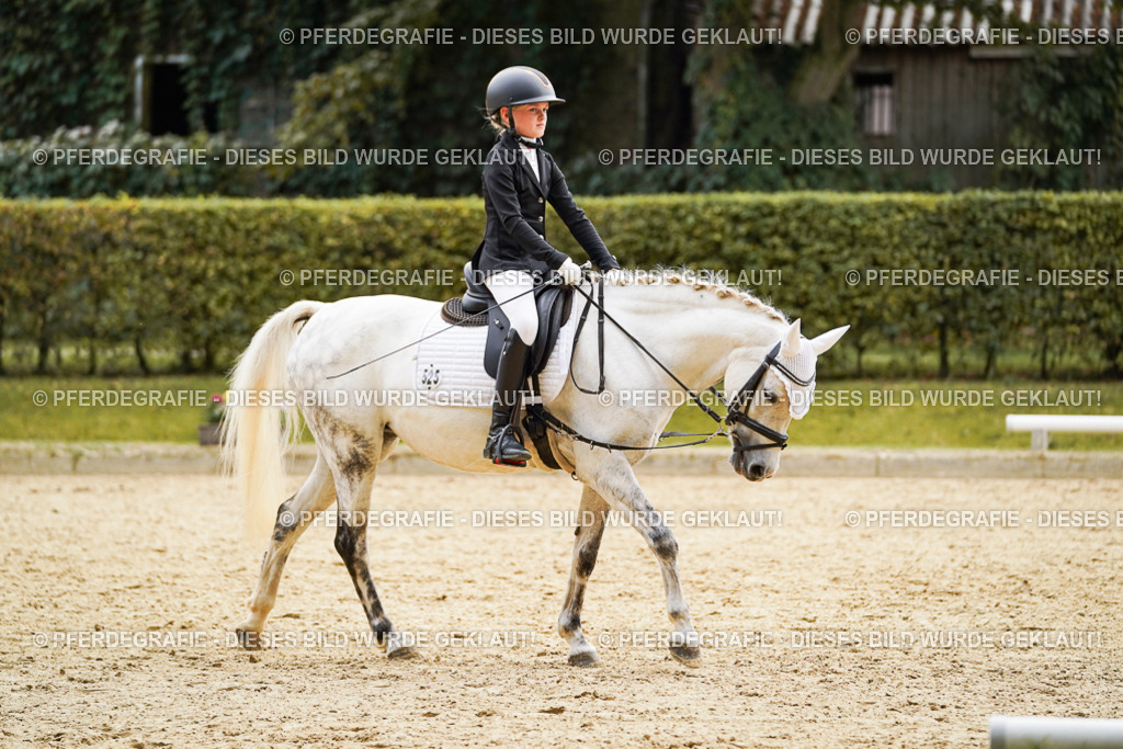 DSC09472 | Pferdegrafie