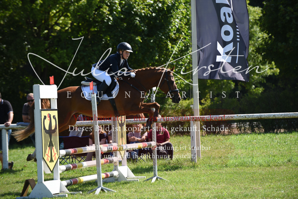DSC_9317 | Pferde- und Turnierfotografie in Westsachsen. Pferdeportraits, Auftragszeichnungen und intuitive Kunst.