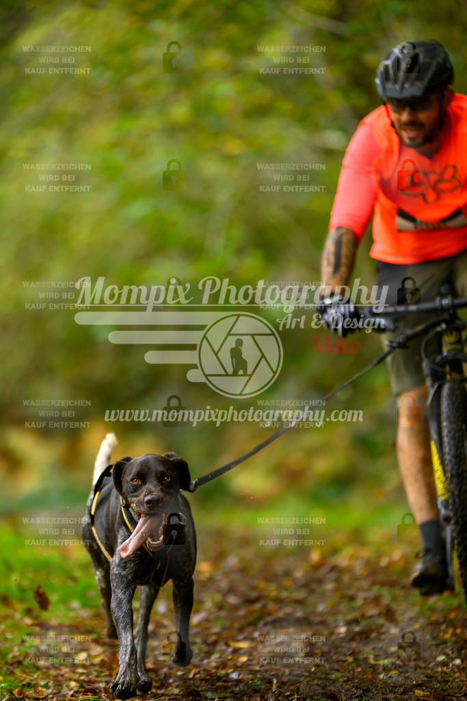 MompixPhotography_20TSB_E1_Bike-46 | PayLife