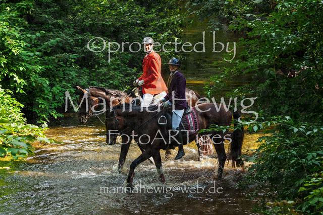 Jagd Perdoel_MarinaHewigMCH05074 | Fotografie, FotoArt, PferdesportArt, Pferdesportfotografie, Landschaftsfotografie, Reisefotografie, Reise, Pferde - Realisiert mit Pictrs.com