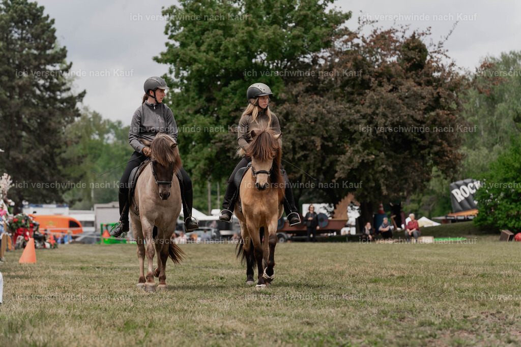 Showprogramm-192 | working equitationturnier fotograf videograf stoibphotography marixx film working equitation deutschland reitsport turnierfotografie eventfotografie equestrian events