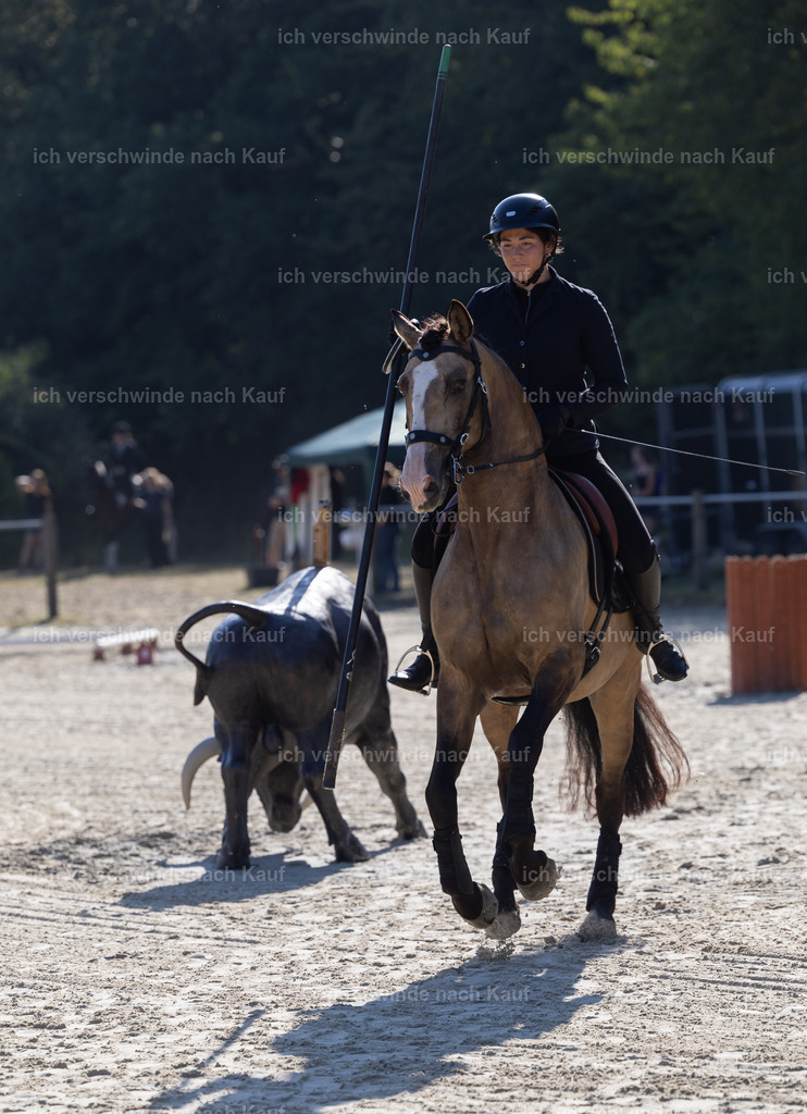 WA_Trail_96_KerstinBernhardt-16 | working equitationturnier fotograf videograf stoibphotography marixx film working equitation deutschland reitsport turnierfotografie eventfotografie equestrian events