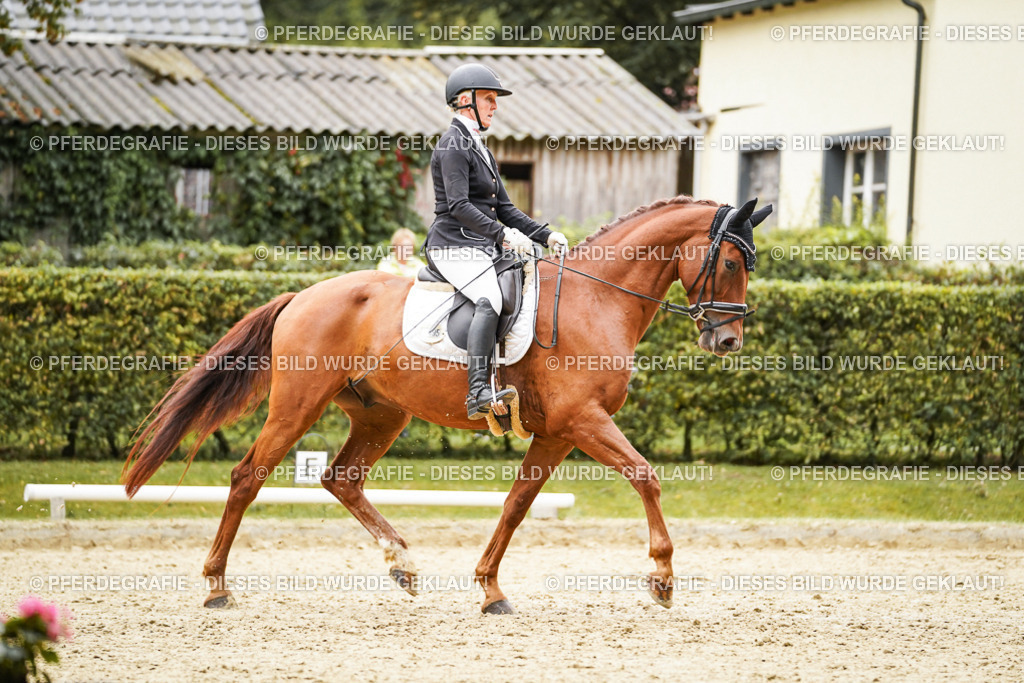 DSC08378 | Pferdegrafie