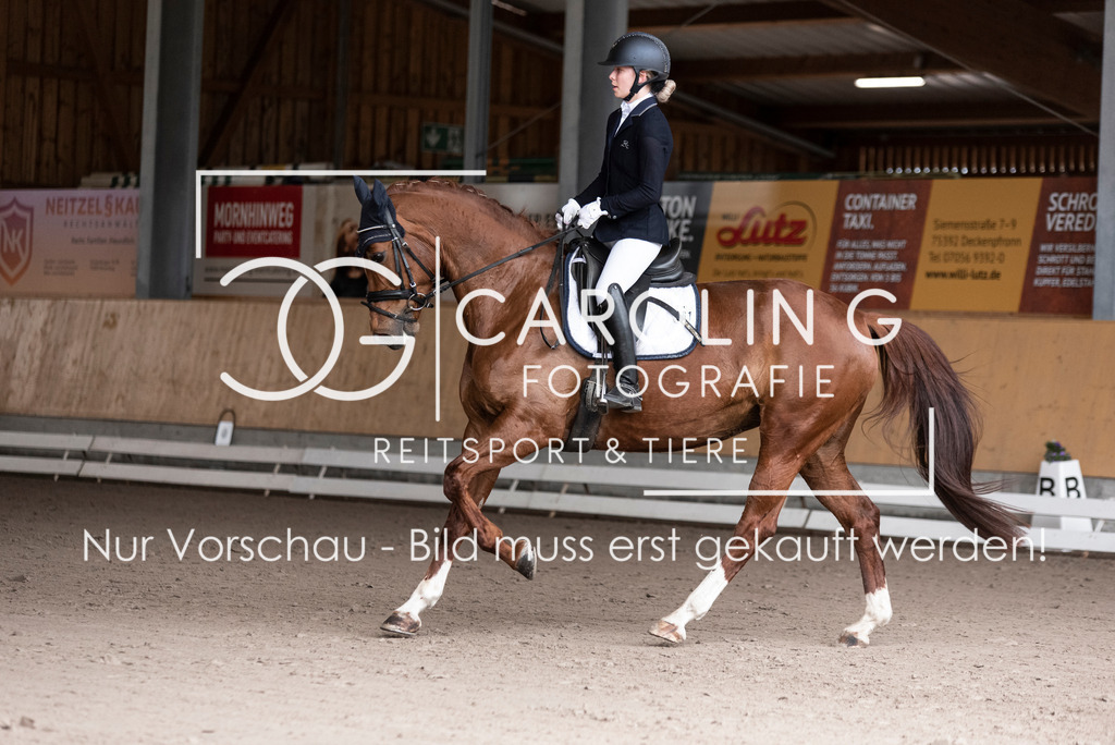 DSC_2707 | Carolin Gieschke