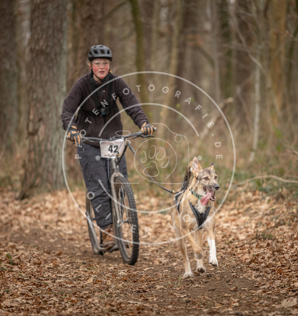 Pfotenfotografie_DV3A0827 | Hundefotografie, Tierfotograf, Pfotenfotografie, Fotoshooting Hund, Hunde Portrait, Hundesport, Hundeportraits, Heideshooting, Hunde, Sportfotograf, Hundefotograf, Turnierhundsport, THS,  - Realisiert mit Pictrs.com