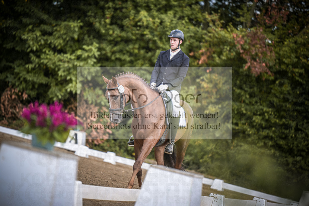 DOS_0530 | Entdecke hochwertige Reitturnierfotos von Foto Oger. Professionell, emotional und authentisch – jetzt Lieblingsmomente im Shop bestellen.Deutschlandweite Turnierfotografie. - Realisiert mit Pictrs.com