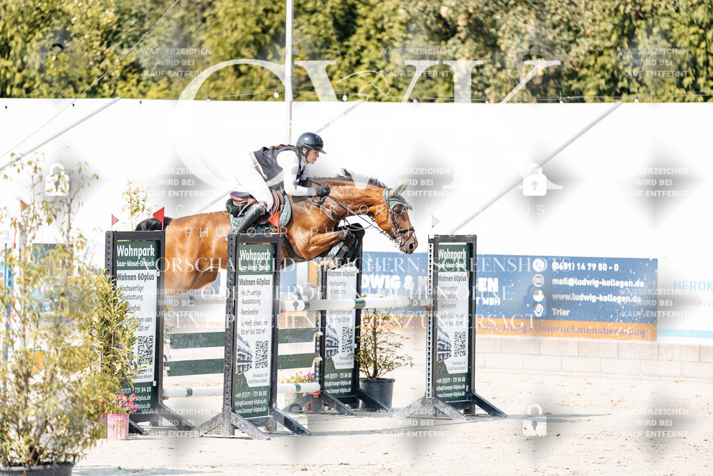 CK902145 | Turnierfotografie Pferdefotografie Trier Rheinland-Pfalz Pferdesport Reitsport Tierfotografie Sportfotografie Pferdevideo Pferdevideografie Equestrianvideography equestrianphotography  - Realisiert mit Pictrs.com