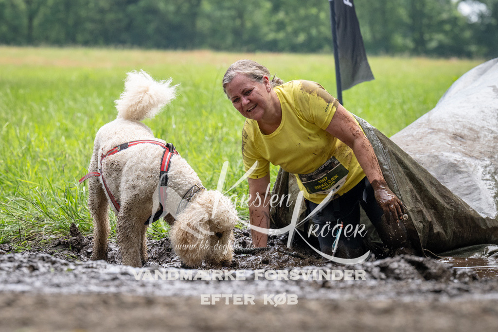 1120_ZZ92591 | kk-dogfotos