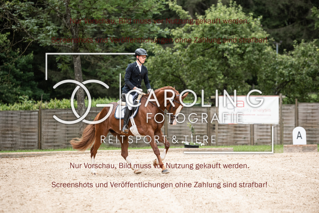 DSC_3066 | Turnierfotografin Carolin Gieschke,Reitsport Turnierfotografie Carolin G Fotografie | Turnierfotos aus Kirchheim/Teck, Esslingen, Stuttgart und dem Bodenseekreis
