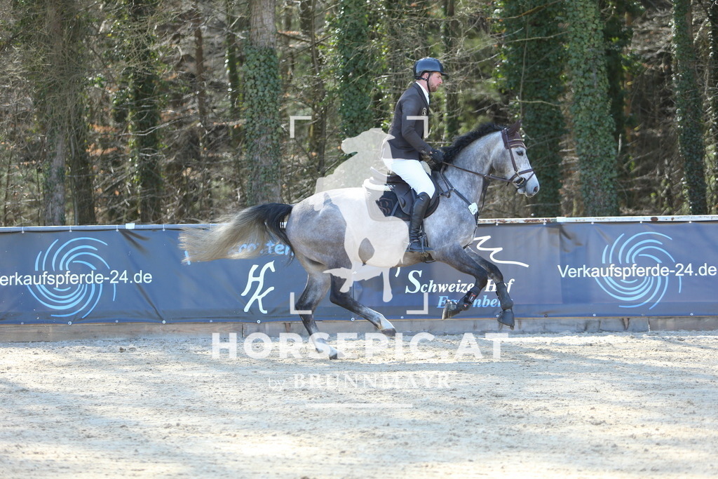 DL2Q3041 | Willkommen bei Brunnmayr - Design & Fotografie – Ihrem Spezialisten für Reitturniere und Pferdeveranstaltungen in Oberösterreich, Salzburg und Bayern! Seit über 17 Jahren sind wir leidenschaftlich dabei.