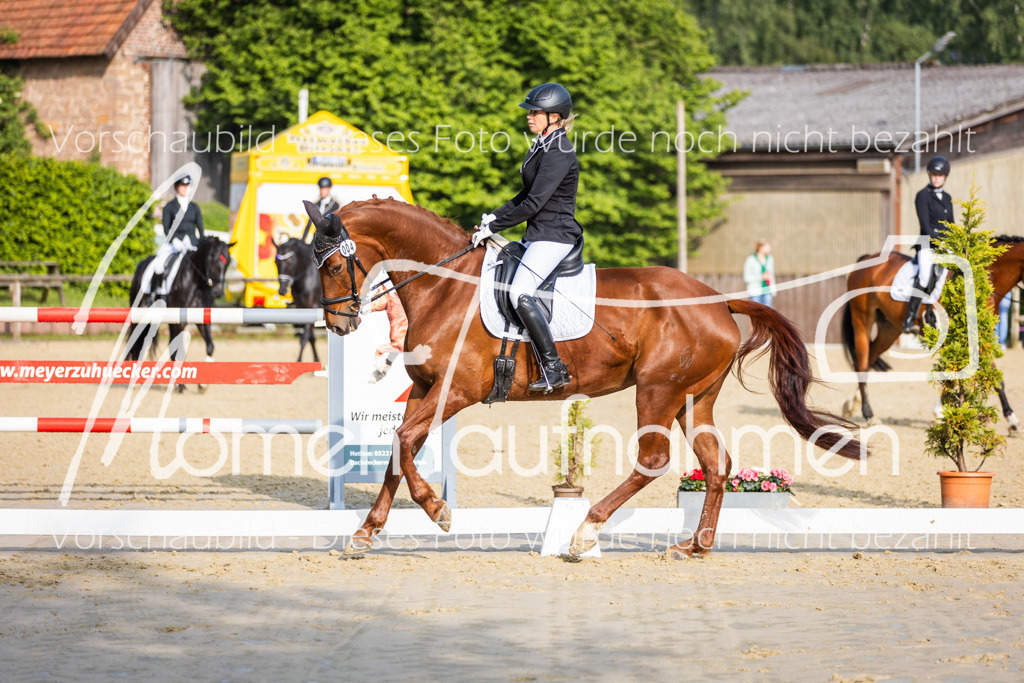 Donop24-A-Dre-025 | MomenTaufnahmen Pferdesportfotos