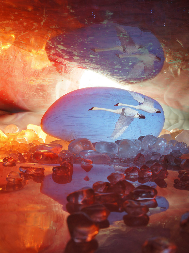 Zwei Schwäne | cornelia-geissler - Realisiert mit Pictrs.com