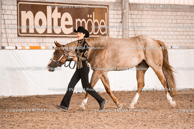 ZH200264 | dv-media-shop - Realisiert mit Pictrs.com