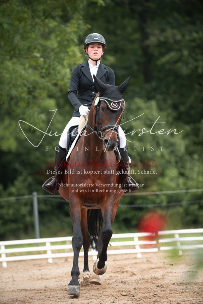 DSC_9604 | Pferde- und Turnierfotografie in Westsachsen. Pferdeportraits, Auftragszeichnungen und intuitive Kunst.
