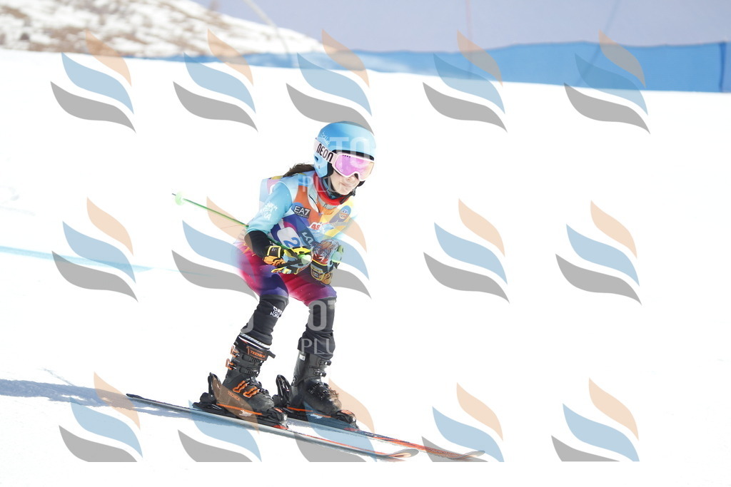 _U3G8919 | holidayphoto