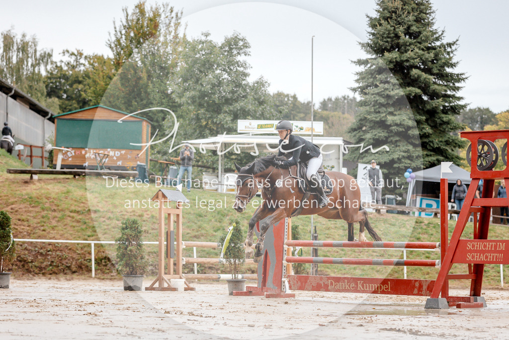 3I6A5579 | Stimmungsvolle Portraits und Reitsportfotografie im Ruhrgebiet und im Münsterland.

Pferdefotografie, Hundefotografie, Tierfotografie, Reportagen, Portraits von Tier und Mensch, Turnierfotografie in Bochum, Recklinghausen, Marl, Haltern am See, Dülmen.. - Realisiert mit Pictrs.com