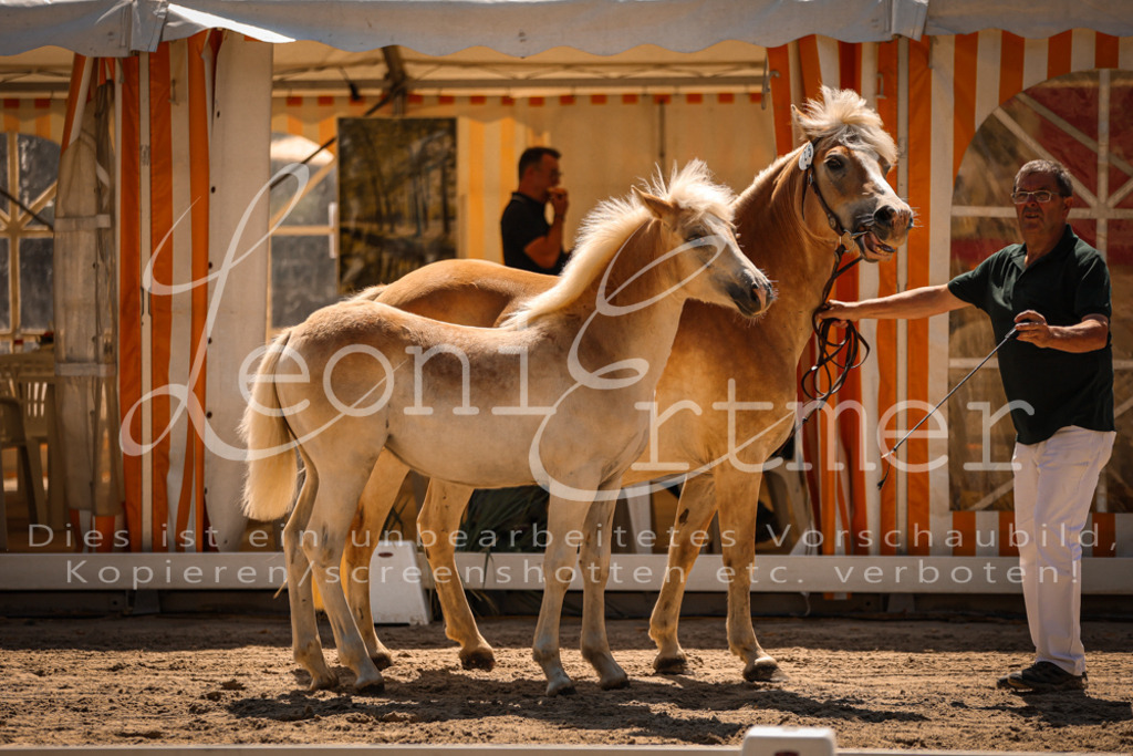 06.DoH00043 | Leoni Ertmer Photography - Realisiert mit Pictrs.com