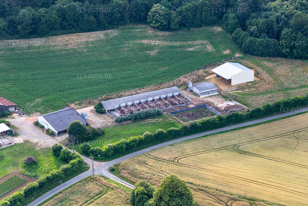 Luftbild: Cournon Schweinezucht mit Freilauf in Saint-Michel-de-Chavaignes im Bundesland Sarthe in Frankreich. Foto: IMG_132425.jpg vom 14.06.2022 durch Werner Riehm/FLY-FOTO.de