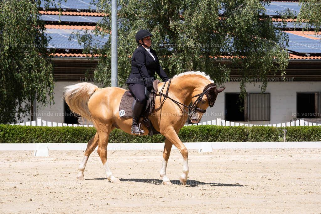 WS_DR_53_sinafilmart_IN08583 | working equitationturnier fotograf videograf stoibphotography marixx film working equitation deutschland reitsport turnierfotografie eventfotografie equestrian events