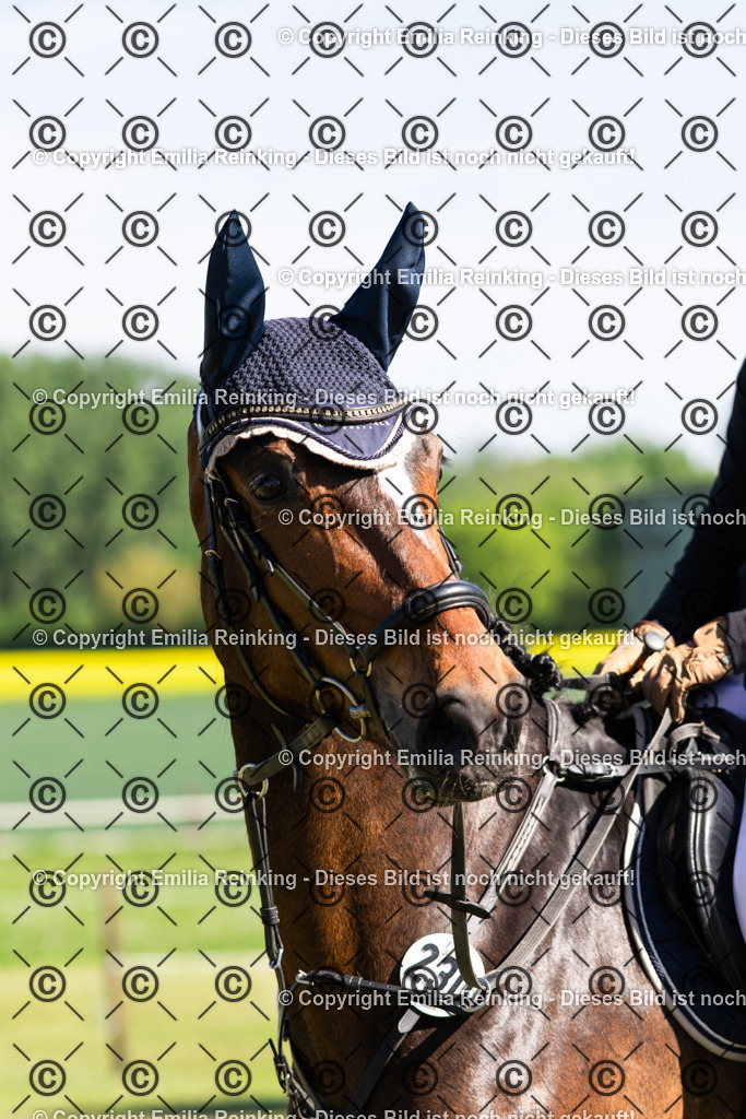 CL5A8144 | Emilia Reinking Fotografie - Realisiert mit Pictrs.com