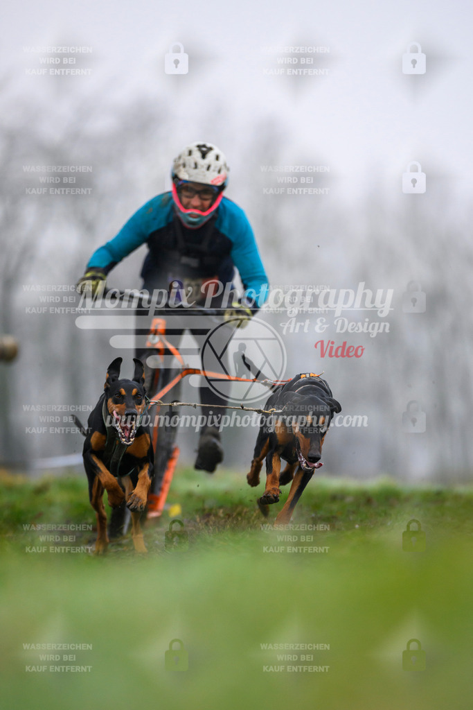 MompixPhotography_CDF2023_FFST_Di_DS2-21 | PayLife