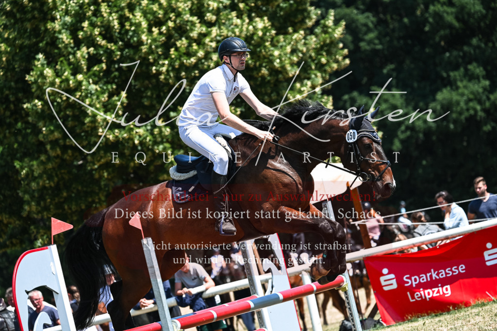 DSC_0460 | Pferde- und Turnierfotografie in Westsachsen. Pferdeportraits, Auftragszeichnungen und intuitive Kunst.