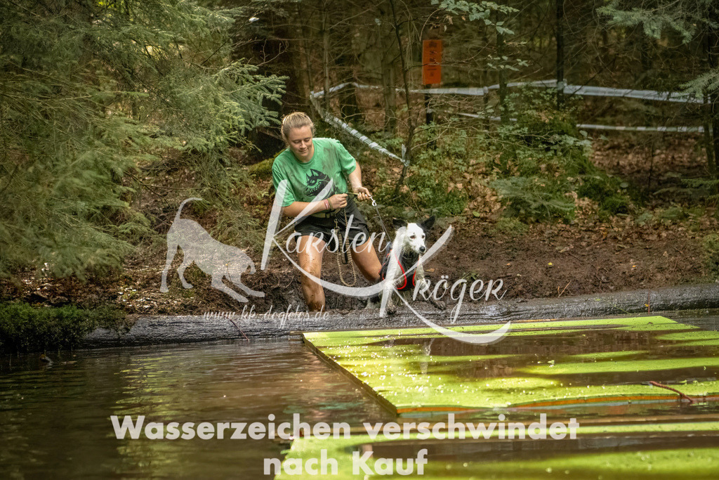 1411_ZZ91454-Bearbeitet | kk-dogfotos