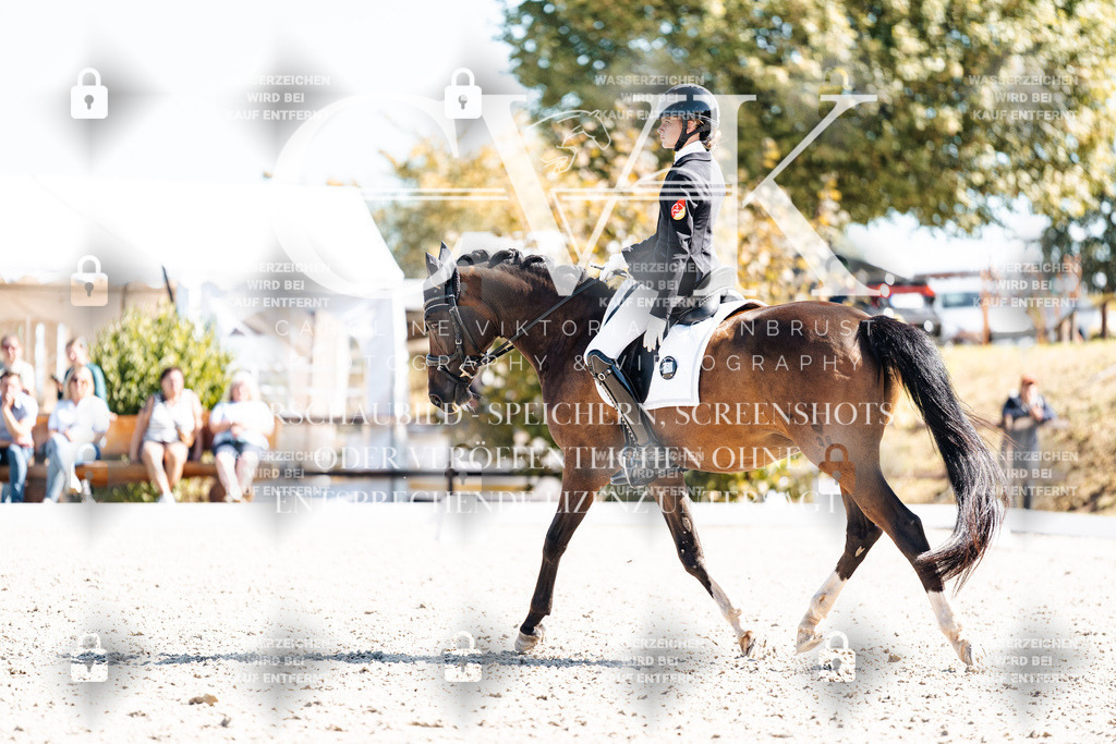 CK909635 | Turnierfotografie Pferdefotografie Trier Rheinland-Pfalz Pferdesport Reitsport Tierfotografie Sportfotografie Pferdevideo Pferdevideografie Equestrianvideography equestrianphotography  - Realisiert mit Pictrs.com