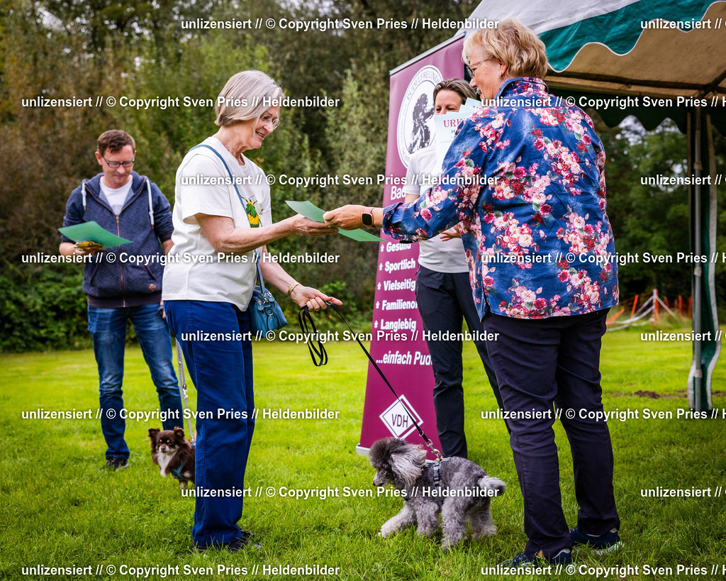 Sven Pries | 2024-09-22 - Hunderennen Baden-BadenPudelverein - Realisiert mit Pictrs.com