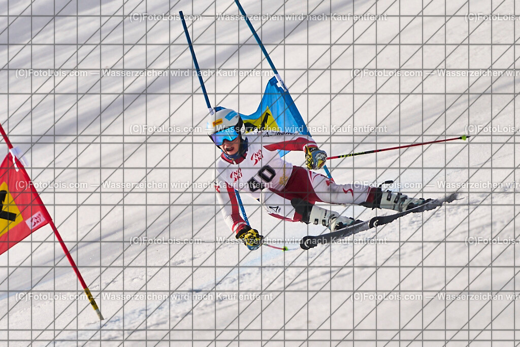 ALP8460_Herrn-FIS-GS-II_Lackenhof-WY_PITZER Willi | Internationaler FIS GiantSlalom der Herrn auf der Distelpiste in Lackenhof am Di 11. März 2025.  Österreich, LSV-NÖ, Sportunion Waidhofen/Ybbs (2035).