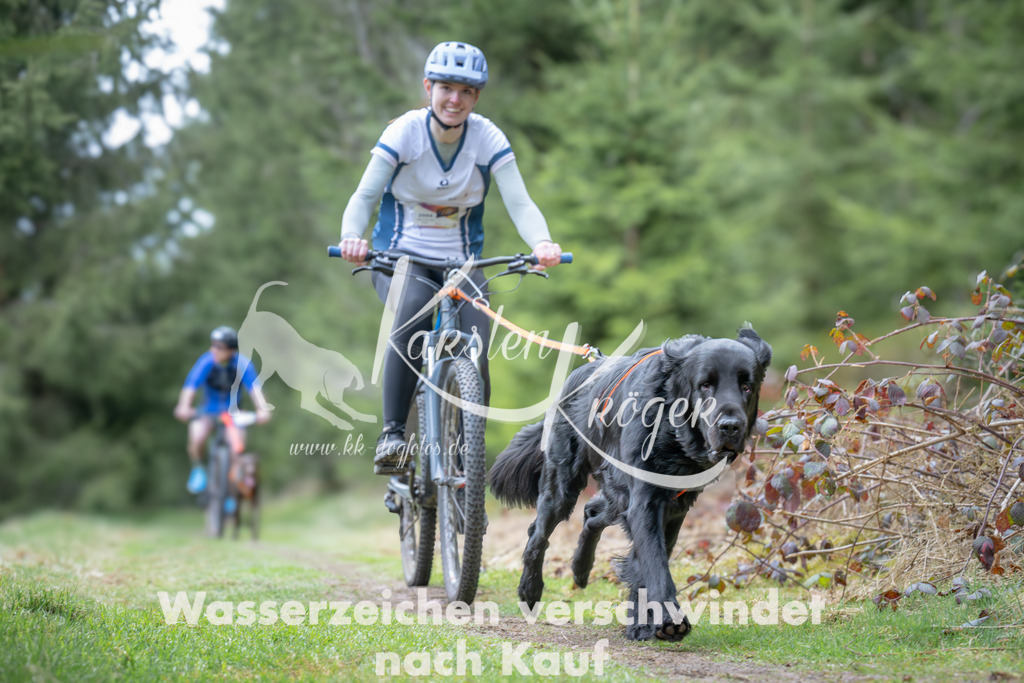 1312_ZZ94015 | kk-dogfotos