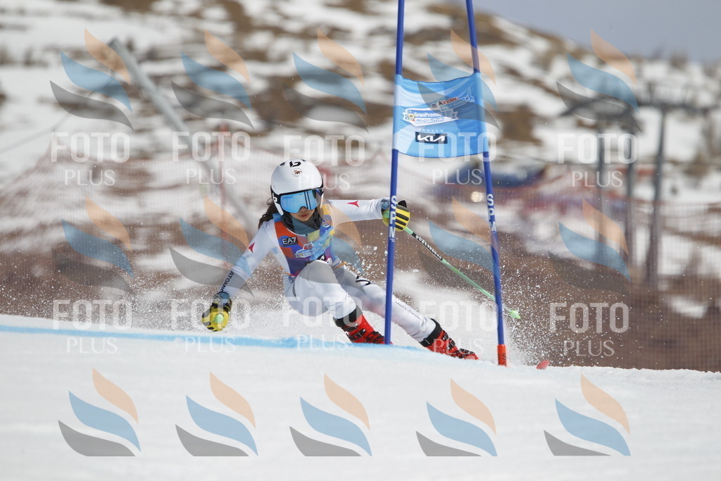 _U3G1479 | holidayphoto