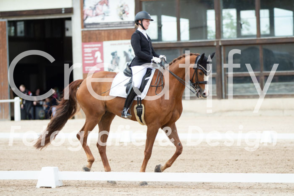 IMG_6194 | Creatify Fotografie