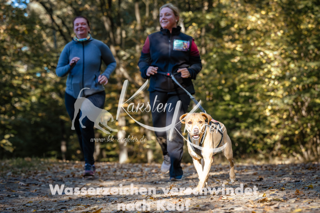 1125_ZZ92385 | kk-dogfotos