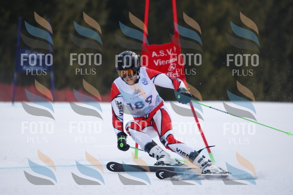 D7833 | holidayphoto