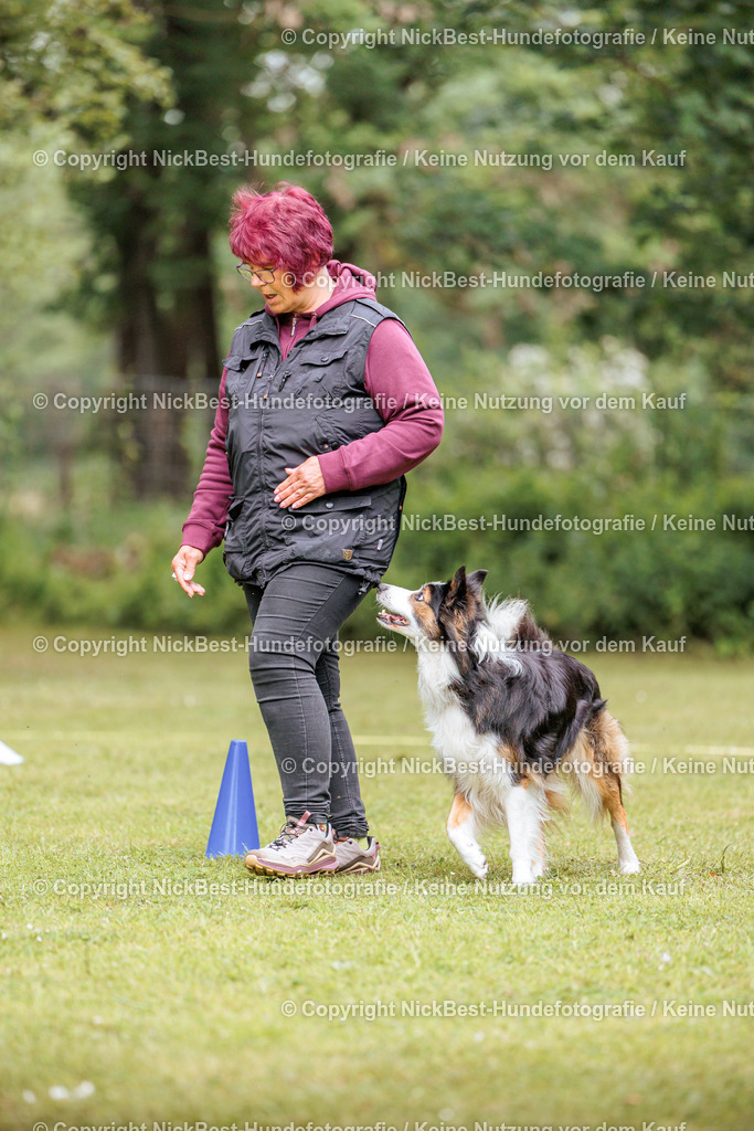 RO-Blumenthal-2026-Nickbest-Hundefotografie-2501 | Dein Hund! Dein Moment! Deine Erinnerungen! Hundefotografie in Bremen Blumenthal. Ich fange die besonderen Momente deines Vierbeiners ein – ob Indoor mit Blitzanlage oder in der freien Natur. Sicher dir dein Moment und dein Termin für eure Erinnerungen.