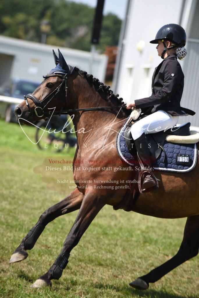 DSC_9926 | Pferde- und Turnierfotografie in Westsachsen. Pferdeportraits, Auftragszeichnungen und intuitive Kunst.