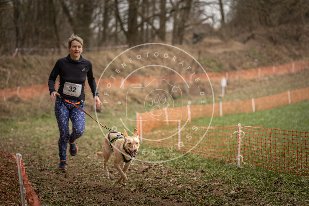 Pfotenfotografie_DV3A9116 | Hundefotografie, Tierfotograf, Pfotenfotografie, Fotoshooting Hund, Hunde Portrait, Hundesport, Hundeportraits, Heideshooting, Hunde, Sportfotograf, Hundefotograf, Turnierhundsport, THS,  - Realisiert mit Pictrs.com