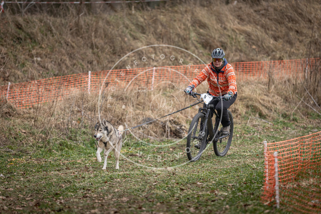 Pfotenfotografie_DV3A6282 | Hundefotografie, Tierfotograf, Pfotenfotografie, Fotoshooting Hund, Hunde Portrait, Hundesport, Hundeportraits, Heideshooting, Hunde, Sportfotograf, Hundefotograf, Turnierhundsport, THS,  - Realisiert mit Pictrs.com