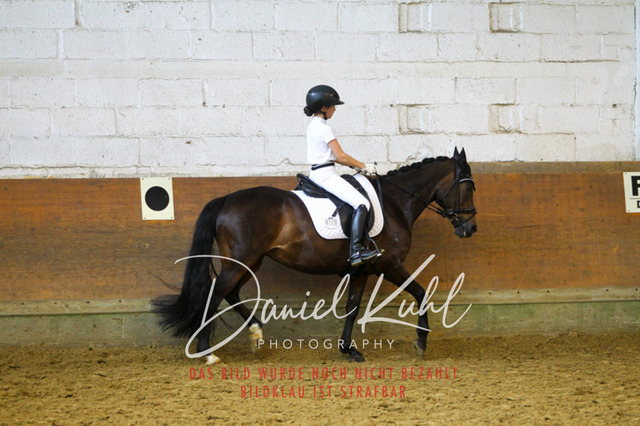 DKP44211 | Turniersportfotografie; Pferdefotografie; Dressurfotografie