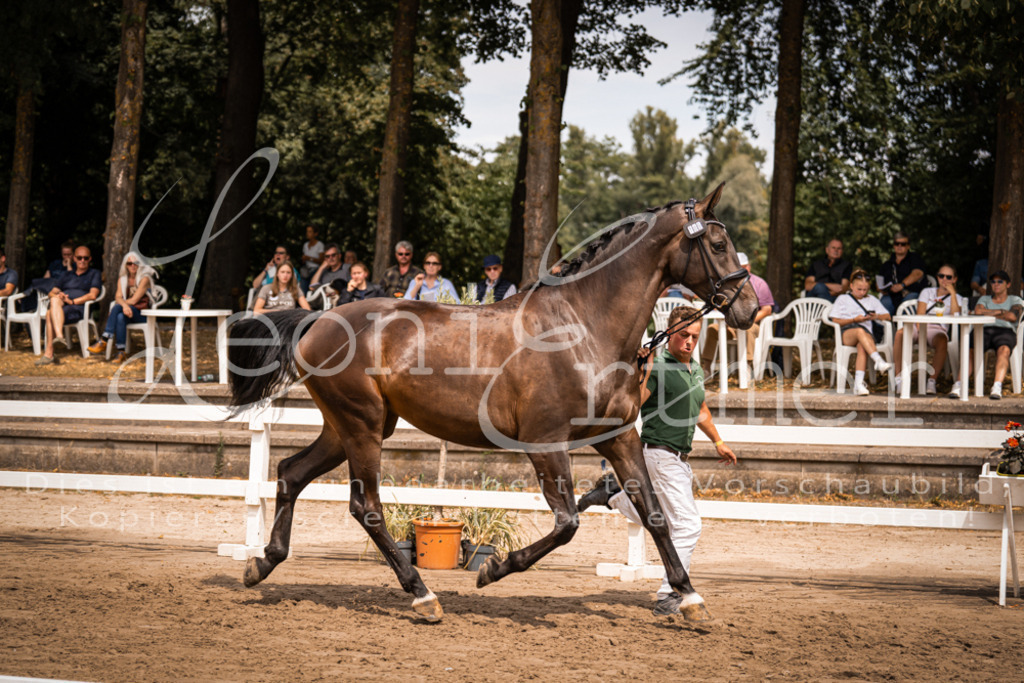 3.Fr00044 | Leoni Ertmer Photography - Realisiert mit Pictrs.com