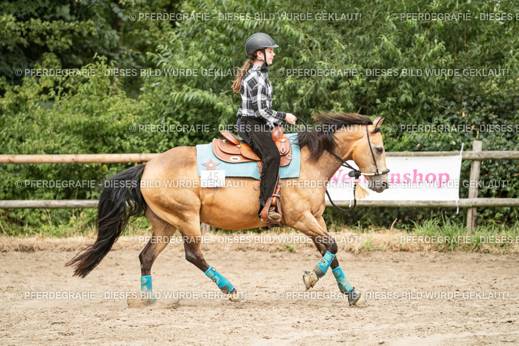 DSC01466 | Pferdegrafie