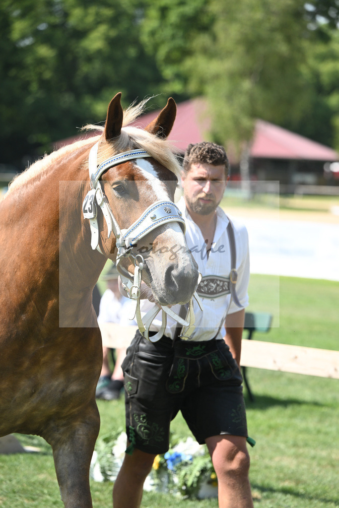 Kat-Nr. 23 Mercedes_Hoeck_20230383 | hf-fotografie - Realisiert mit Pictrs.com